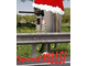 festive speed kills.jpg